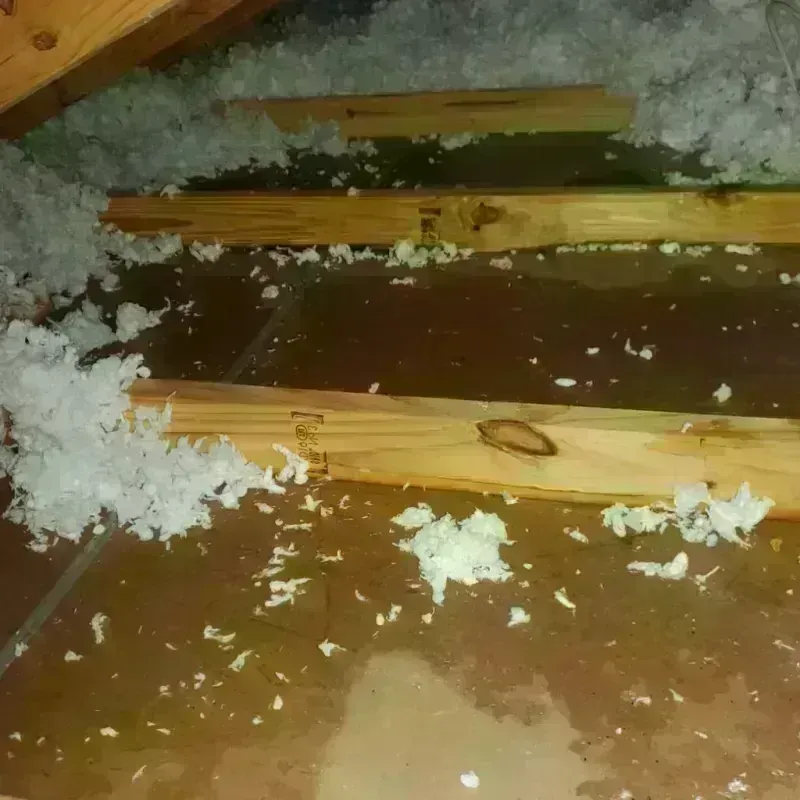 Attic Water Damage in Taos Pueblo, NM