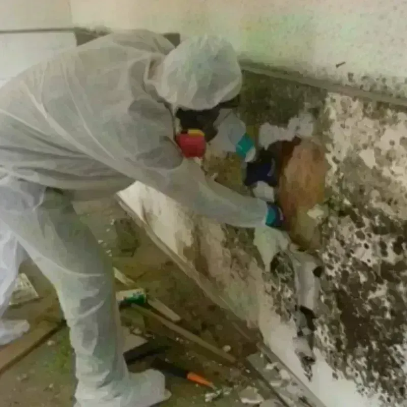 Mold Remediation and Removal in Taos Pueblo, NM